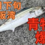 Thumbnail of post image 034